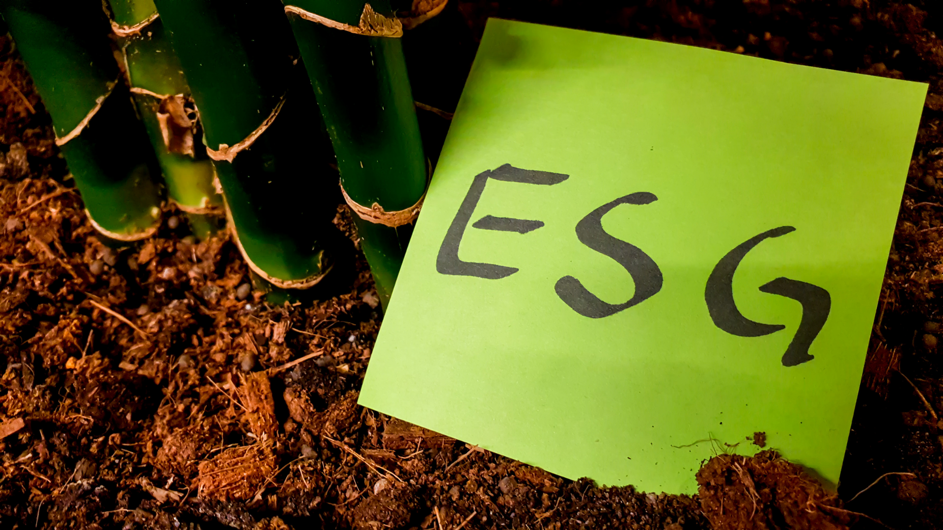 esg