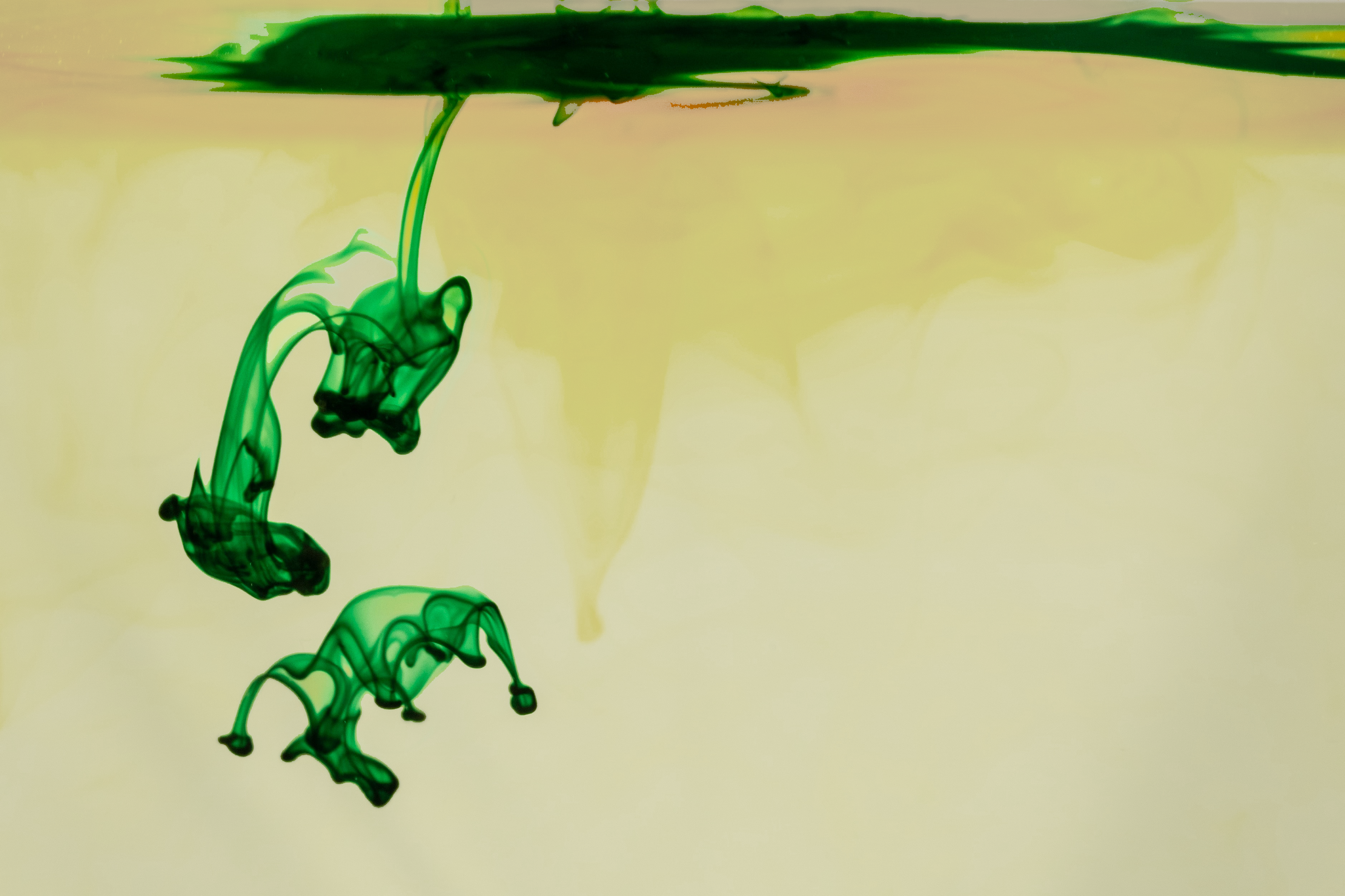 greenwashing