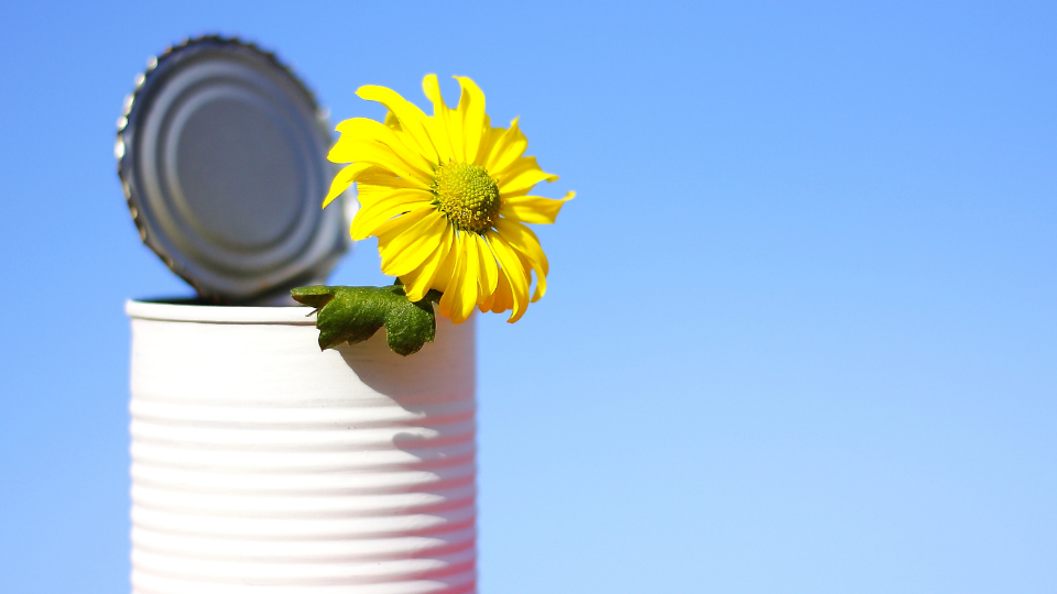 Qual a diferença entre reciclagem e reutilização?